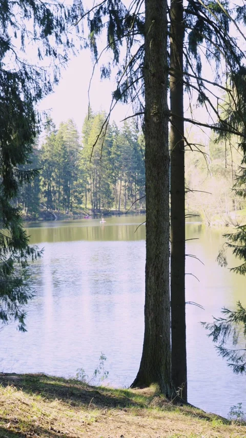 Nature Serenity And Environmental Conservation, This footage is projects Vidéo 334608494