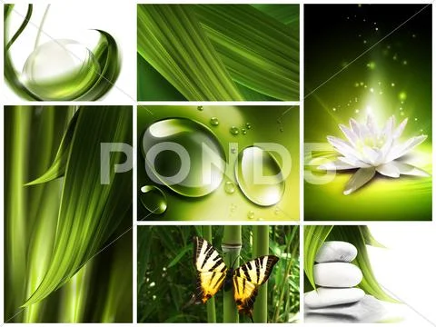 Nature set Stock Illustration