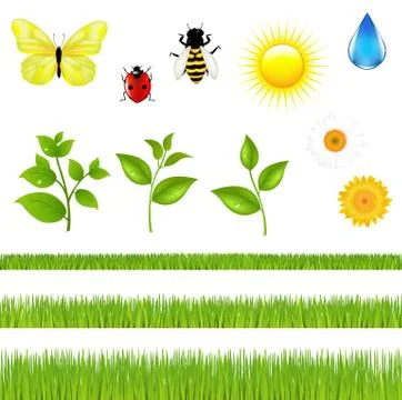 Nature set Stock Illustration