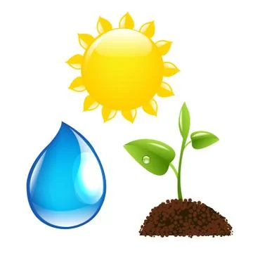 Nature set Stock Illustration