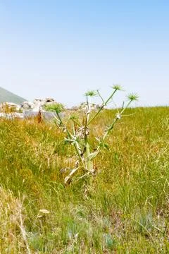 Nature of Sevan Stock Photos