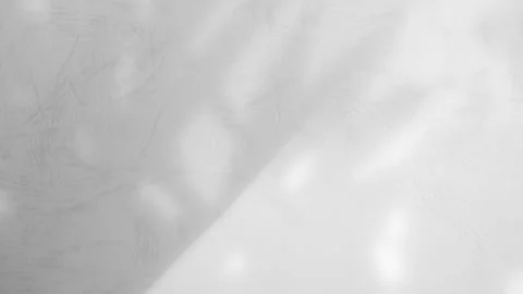 Nature Shadow Grey Background Wall Stock Footage 279284057