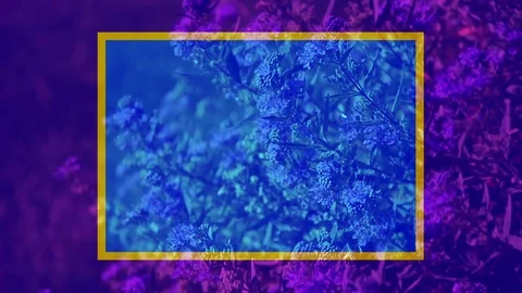 Nature Shapes Motion Background Stock Footage 79457687