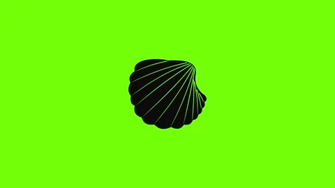 Nature shell icon animation Stock Footage 157503849