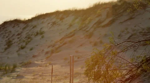 Nature Shot 動画素材 27770623