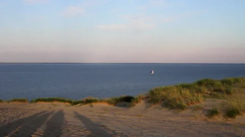 Nature Shot Stock Footage 27779494