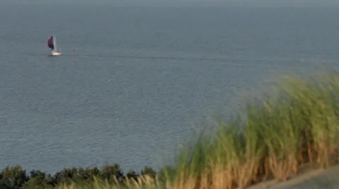 Nature Shot Stock Footage 27787381