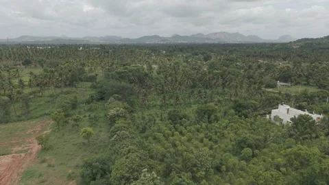 Nature shot Stock Footage 311880181