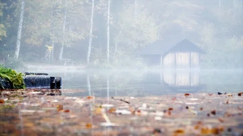 Nature shot on a lake Stock Footage 87601736