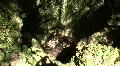 Nature Shots in Florida HD Footage