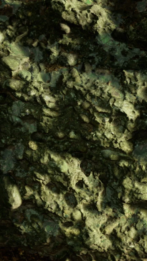 Nature shows texture of rocks and moss under natural light in forest Stock Footage 334886849