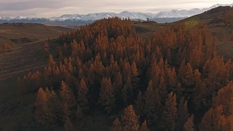 The nature of Siberia: a mountain valley, clear sky. Autumn Stock Footage