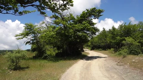Nature Sicily Spring Idyllic Mountain Road Crosses Green Fields Panning Vídeos de archivo 155636851