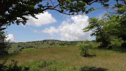 Nature Sicily Spring Idyllic Mountain Road Crosses Green Fields Panning Vídeos de archivo 155643371