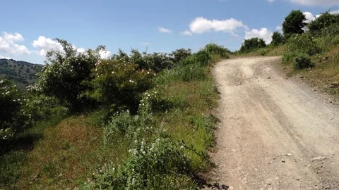 Nature Sicily Spring Panoramic Mountain Road Forest Valley Nebrodi Panning Vídeos de archivo 155618611