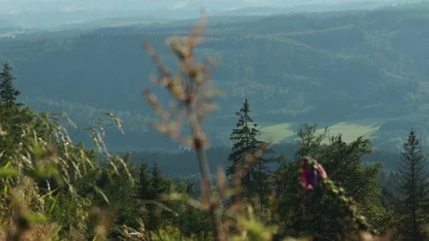 Nature of the siegerland in germany Stock Footage 158229737