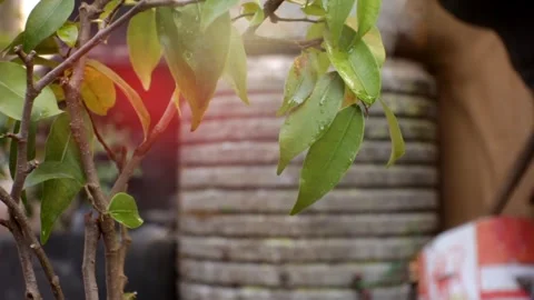 Nature Simple Background Stock-Footage 252006065