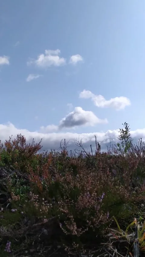 Nature, sky Stock Footage 171909081