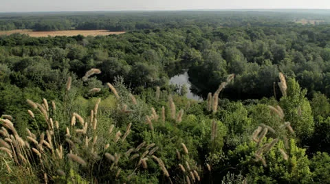 The nature of the slope Stock Footage 24037320