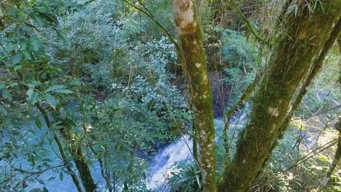 Nature small river 库存影片 92549500