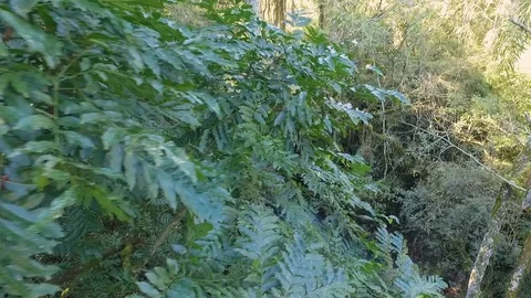 Nature small river2 Video stock 92549546