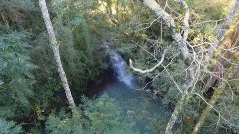 Nature small river3 库存影片 92549596