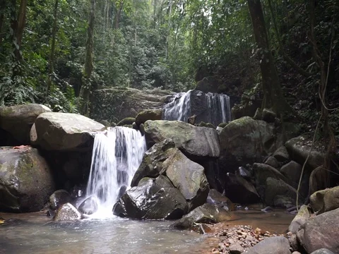 Nature small steam Stock Footage 95079934