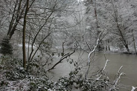 Nature in snow Stock Photos