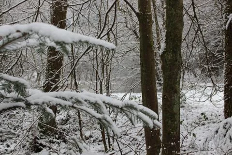 Nature in snow Stock Photos
