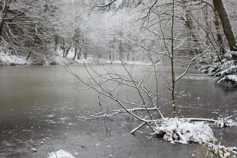 Nature in snow Stock Photos