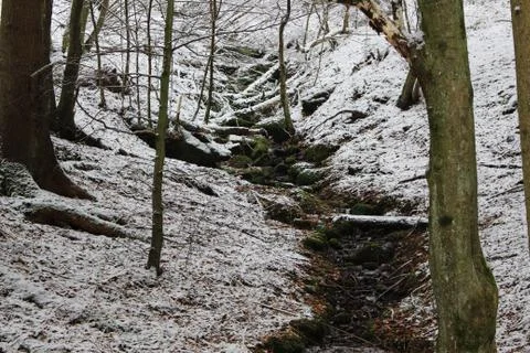 Nature in snow Stock Photos