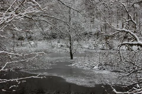 Nature in snow Stock Photos