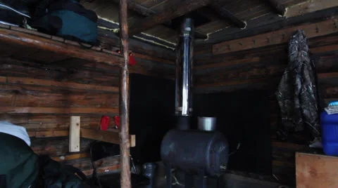 Nature Snow Trees Winter Stock Footage 38769683