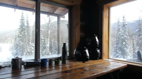 Nature Snow Trees Winter Stock Footage 38769744