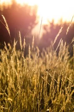 Nature, something dear to protect Stock Photos
