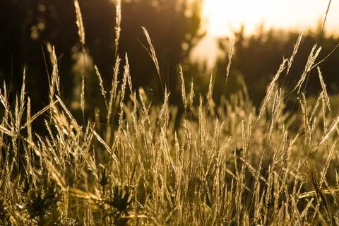 Nature, something dear to protect Stock Photos