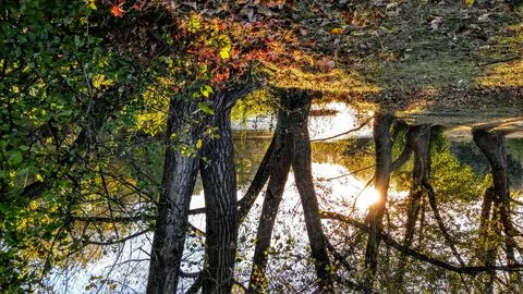 Nature, something dear to protect Stock Photos