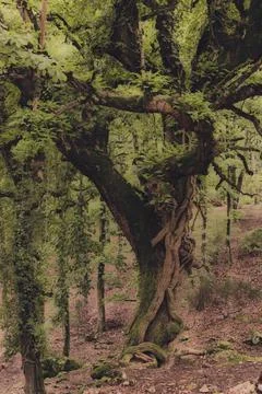 Nature, something dear to protect Stock Photos