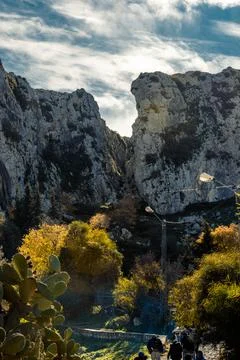 Nature, something dear to protect Foto stock
