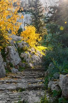 Nature, something dear to protect Foto stock