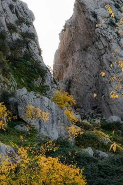 Nature, something dear to protect Stock Photos