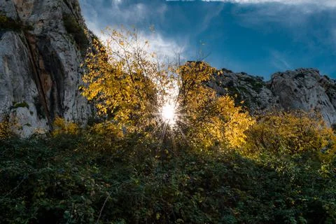 Nature, something dear to protect Stock Photos