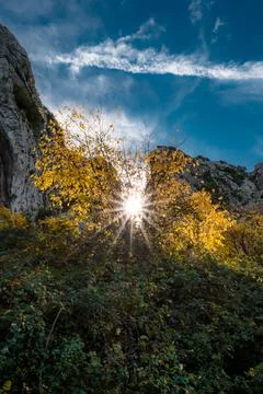 Nature, something dear to protect Foto stock