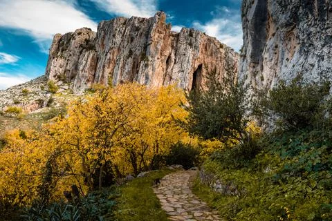 Nature, something dear to protect Foto stock