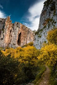 Nature, something dear to protect Stock Photos
