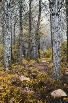Nature, something dear to protect Stock Photos