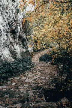 Nature, something dear to protect Foto stock
