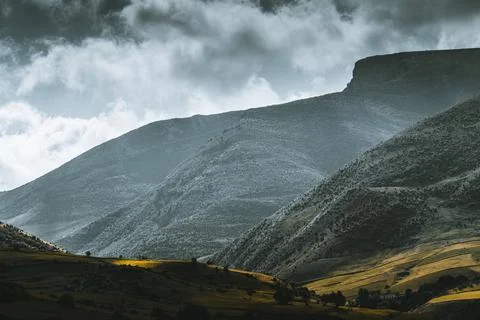 Nature, something dear to protect Stock Photos