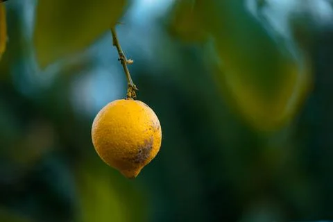 Nature, something dear to protect Stock Photos