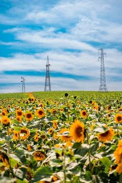 Nature, something dear to protect Stock Photos